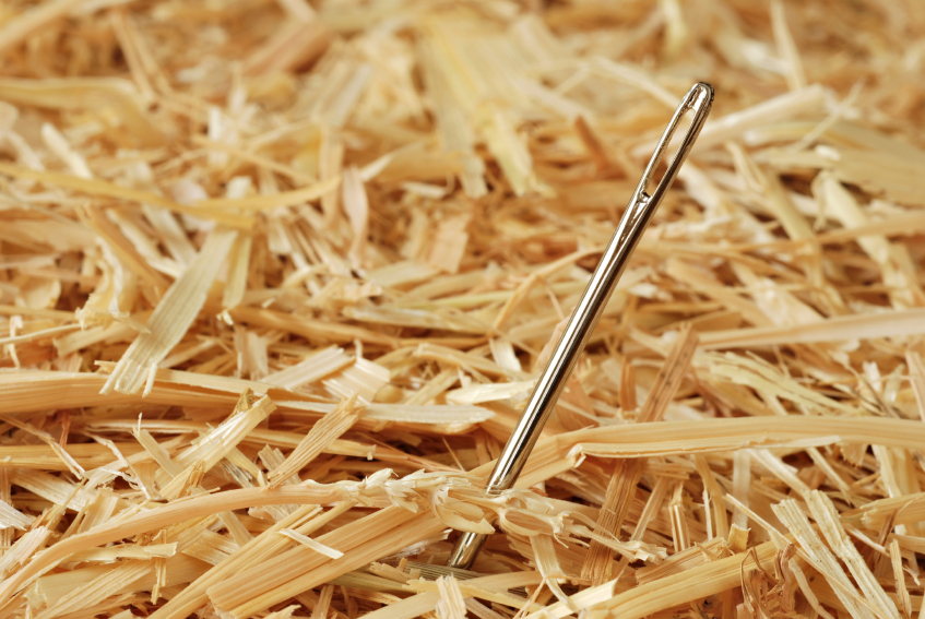 needle in a haystack